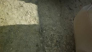 динамики в заднюю полку гранта седан