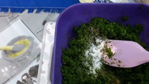Славянск. Паста из чесночных стрелок