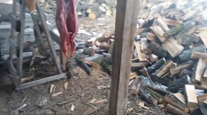 Нутрия домашнее содержание. Мясо нутрии. Вот что бывает с вредными питомцами.