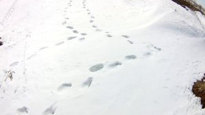 21 | Проект Аренда Пруда | Весенние будни на пруду