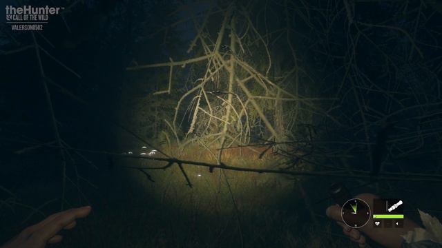 theHunter_COTW_028_Вуалес_Ночные_гости