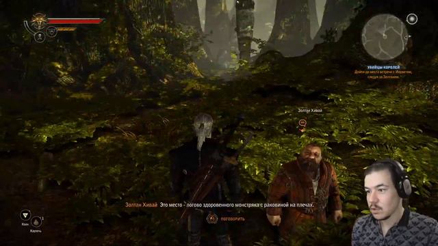 РОЗЫ, ЭЛЬФЫ, ЛЕТО ▶ The Witcher 2 #7 смотреть онлайн