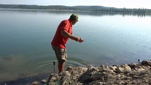 Резинка Судак Щука На живца лето.2016.