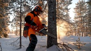 Husqvarna 572XP PROMO Video Commercial Grade Chainsaw