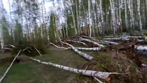 Последствия уранага в селе Кузьмичи Смоленской области (продолжение)