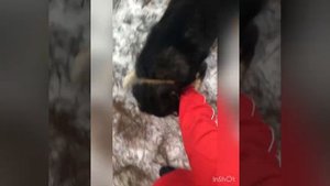 БАНХАР! ПЕРВЫЙ ГОД ДОМА!