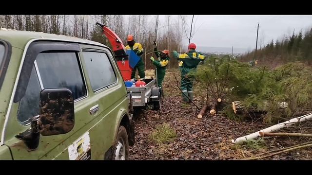АрбоСтройСервис ?89824959200 дробление веток