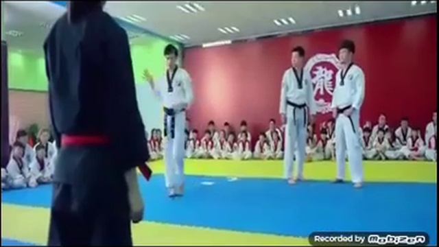 ЛИН ГИУ НАН ТАЭ-КВОН- ДО смотреть онлайн