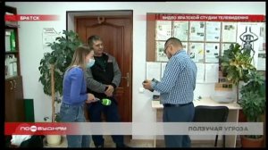 Огромные личинки неизвестных насекомых появились в одном из садоводств Братска