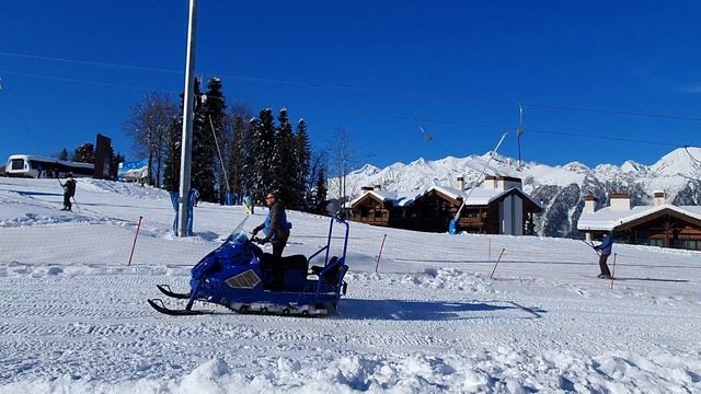 Зелёная поляна