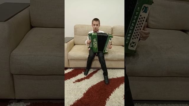 Парень играет на гармони. "Летели две птички".(dima) смотреть онлайн