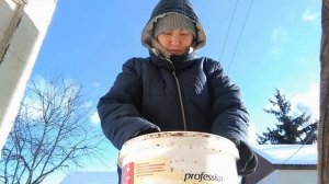 КУЧИНСКАЯ ЮБИЛЕЙНАЯ ПЕРВАЯ ПОРОДА В НАШЕМ ХОЗЯЙСТВЕ мой птичий уголок в феврале