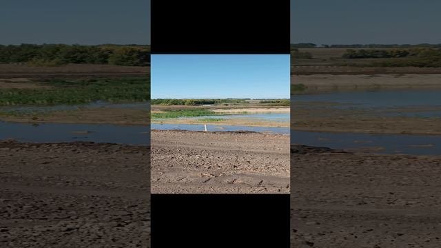 Чистые пруды. Прогулка.