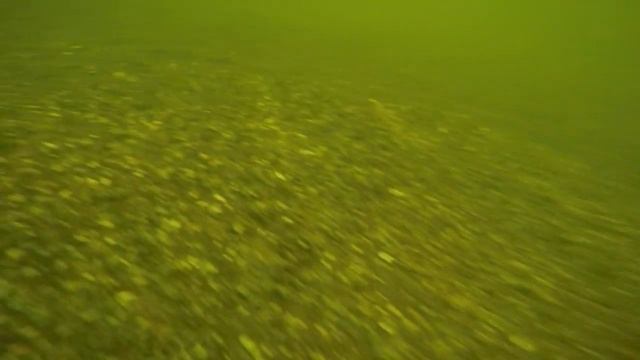 как зимуют раки смотреть онлайн