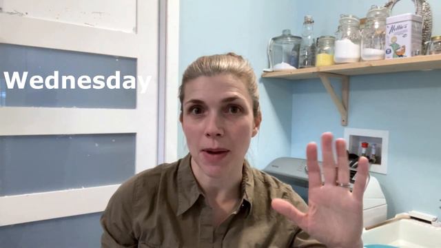 Daily and Weekly Cleaning Schedule | Mom of 5 смотреть онлайн