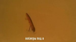 Копия воблера PONTOON21 MOBY DICK# Алиэкспресс