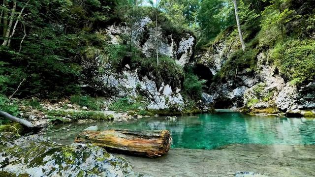 Успокаивающий звук ручья. Лесной ручей, Звуки природы. Шум воды. Горный ручей.