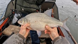 УСПЕЛИ ПО ОТКРЫТОЙ ВОДЕ. СУПЕР РЫБАЛКА НА ЛЕЩА В АСТРАХАНИ! Ловля с лодки на зимние удочки.