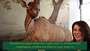 Кейт Кларк создает скульптуры животных с человеческим лицом