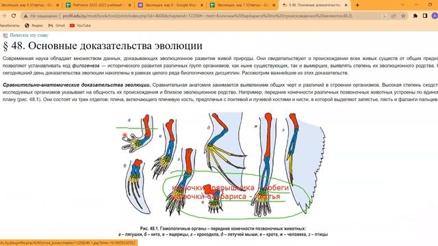 Вар8. Дивергенция, конвергенция, гомологичные и аналогичные органы смотреть онлайн