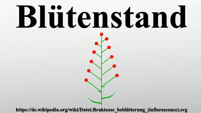 Blütenstand смотреть онлайн