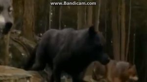 клип -люди оборотни-