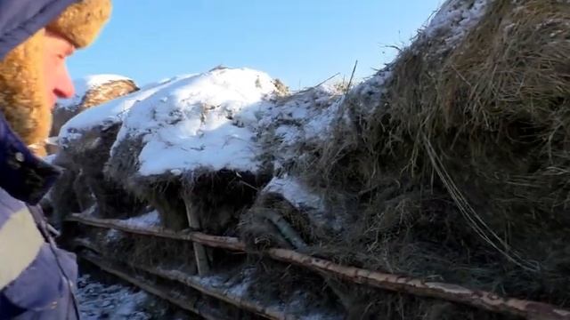 Почему не строю навес для молодняка крс ответ зрителю канала