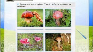 Задание 4 В царстве грибов - Окружающий мир 3 класс (Плешаков А.А.) 1 часть