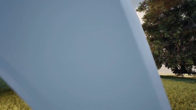 Сетчатая оболочка