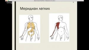 Вебинар - Базовые понятия Су-Джок 6 Ки акупунктуры