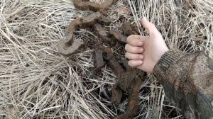 ПОИСК "ЗАПРЕЩЁННОГО" МЕТАЛЛА! ЗА ЭТИ НАХОДКИ МОГУТ АРЕСТОВАТЬ!!!