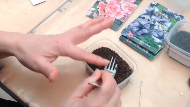 Петуния, выращиваем без ошибок  Часть1