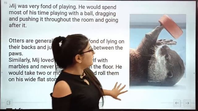 Mijbil the otter class 10 in english|Mijbil the otter|Mijbil the otter class 10|Class 10 English смотреть онлайн