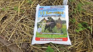 Защита кистей томатов от заломов.Моё мнение о препарате 33 Богатыря.