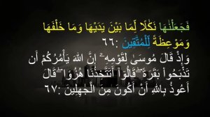 QS 2;66-69 EASY MEMORIZATION (2nd half page 10) AL QURAN SURAH AL BAQARAH VERSE 66-69