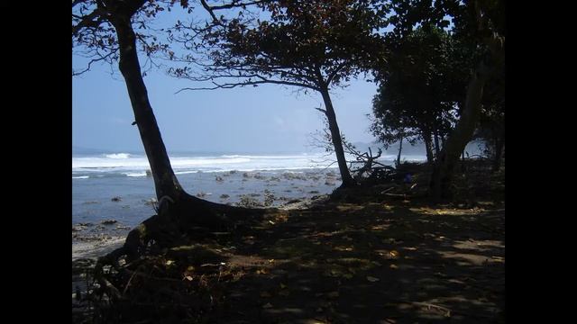 South-Java Coast Post-Tsunami 2006 смотреть онлайн