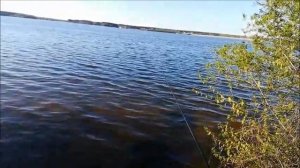 Рыбалка.  Воронежское водохранилище.  Пока не клюёт, 05 05 2021