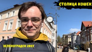 Приехали в Зеленоградск - Кранц / Столица кошек / выходные в Калининградской области 2023