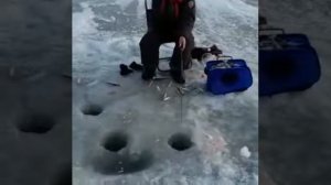 Ловля корюшки (зубаря) на махалки и блесны, навязанные по 2 шт  Джаоре  01.03.2020 г.