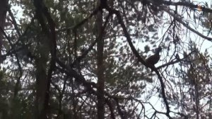 Нахлыст и спиннинг. Река Лотта