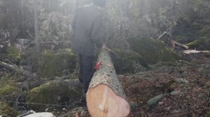 Хижина в лесу. Рубка топором. Серия 1.