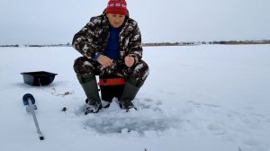 КРУПНЫЙ ОКУНЬ ЗИМОЙ НА БЕЗМОТЫЛКУ - Рыбалка зимой - Безмотылка 2022