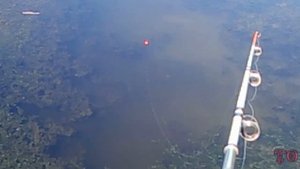 УЧИМСЯ РЫБАЧИТЬ, ЮНЫЙ РЫБАК НА РЕЧКЕ