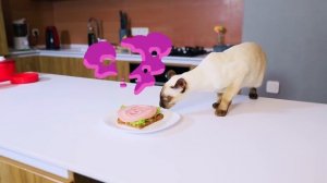 Буратино в гостях у Повара Эмилюши на Сказочной Кухне