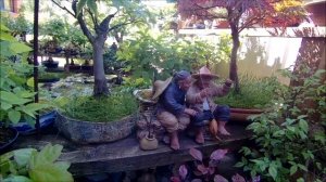 Бонсай весной озвучка 2 часть  Bonsai spring voiceover 2 part  2023 год