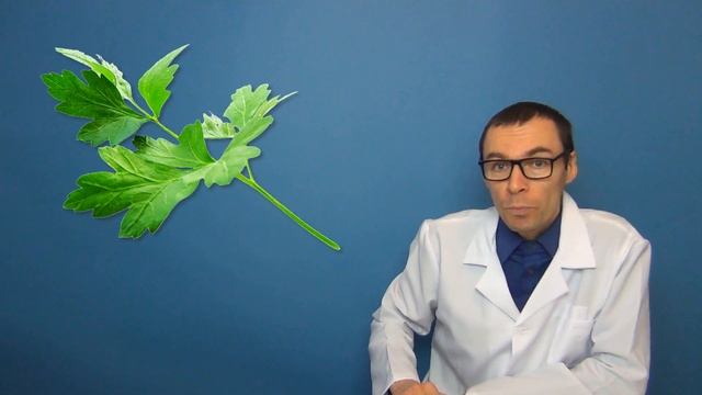 Продукты от которых тело приятно пахнет. Еда для хорошего запаха смотреть онлайн