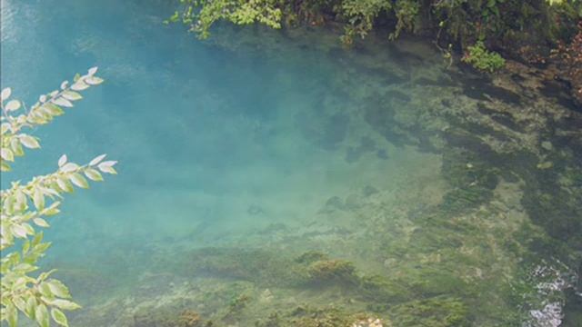 Павел Филин - Последний Наш Дом смотреть онлайн