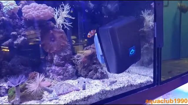 Аквариум чистка стекла автоматическая смотреть онлайн