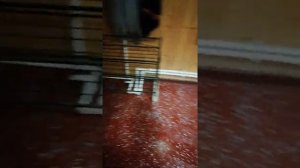 Установка плинтуса в бане в пятницу ?