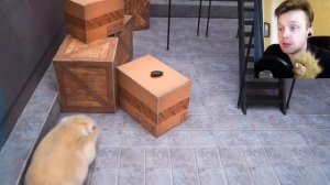 ВОНЮЧИЙ ХАГИ ВАГИ ПРОТИВ ХОМЯКА в ЛАБИРИНТЕ! ? Poppy Playtime Мульт FNAF SECURITY BREACH Анимация